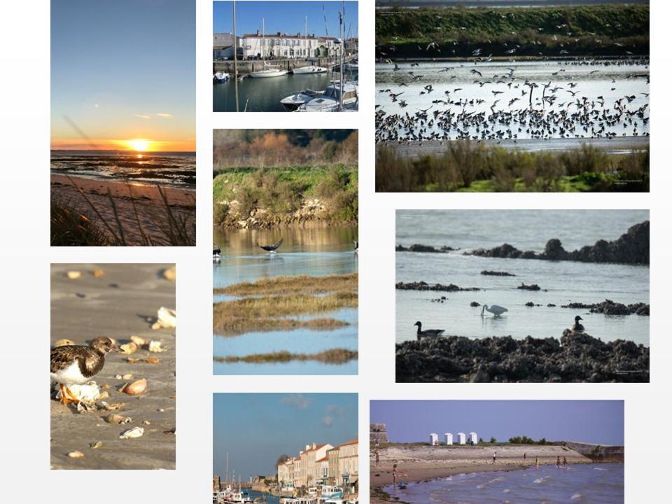 Ile De Re, La Danae, Velos, Wifi, Possibilite Cuisine, Linge, Parking Gratuit Сен-Мартен-де-Ре Екстер'єр фото